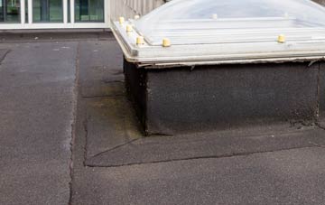 disadvantages of Blagdon flat roofs