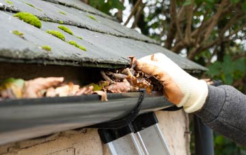 gutter cleaning Blagdon