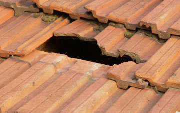 roof repair Blagdon